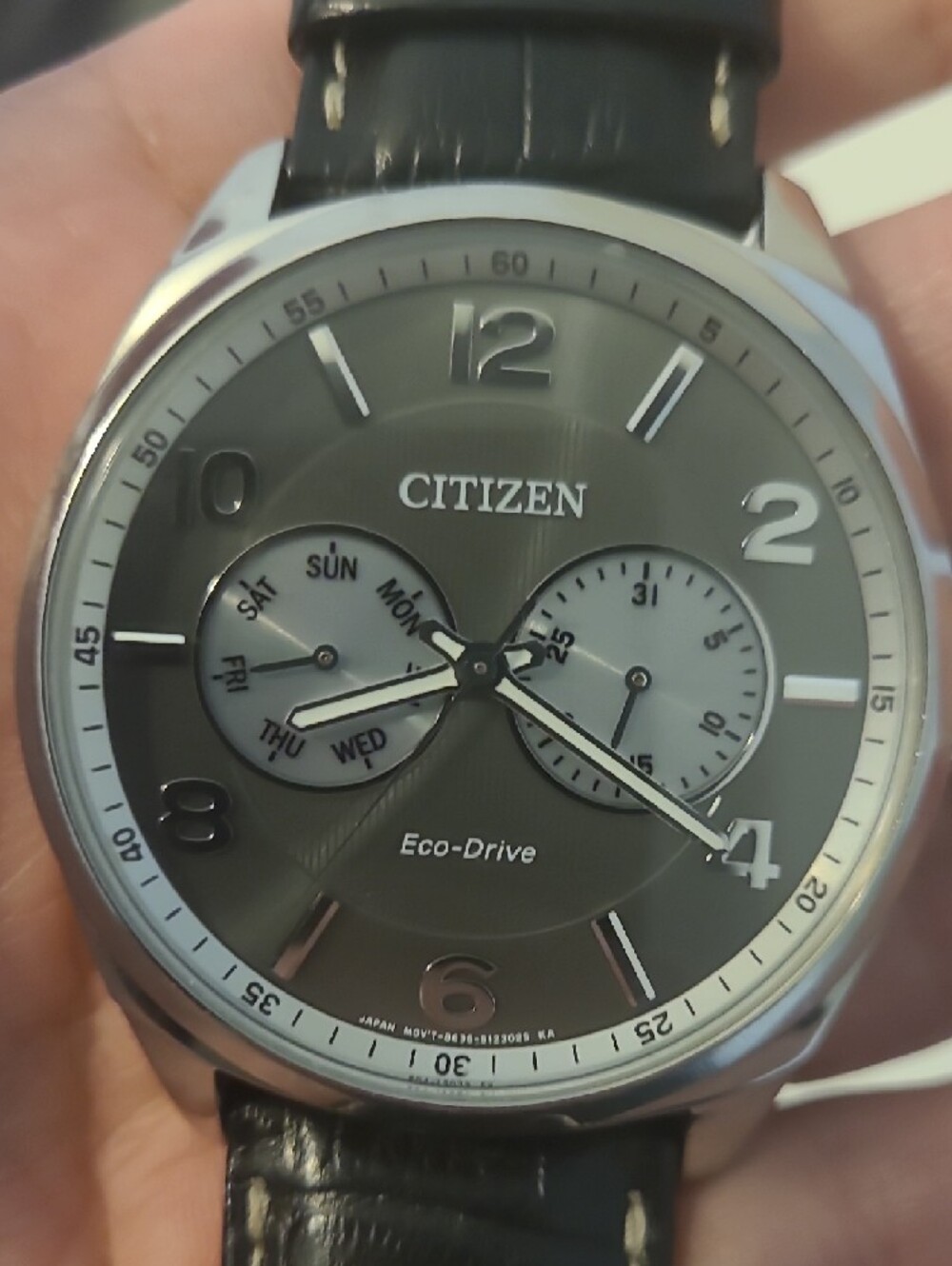 Citizen Gray Dial Watch with Black Leather Strap